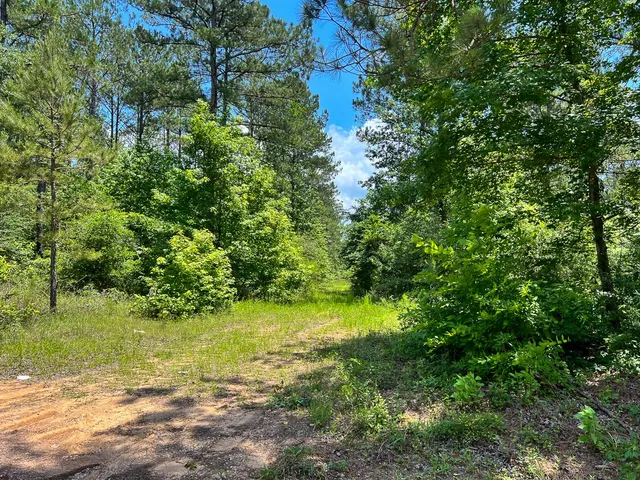 $209,925 | 2 U.S. Highway 190, Oakhurst, TX 77359