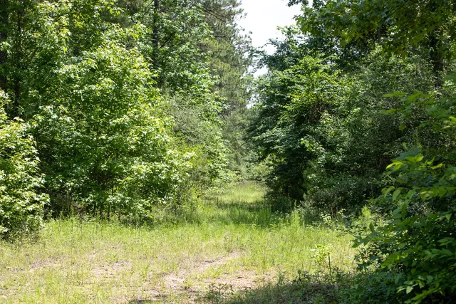 $209,925 | 2 U.S. Highway 190, Oakhurst, TX 77359