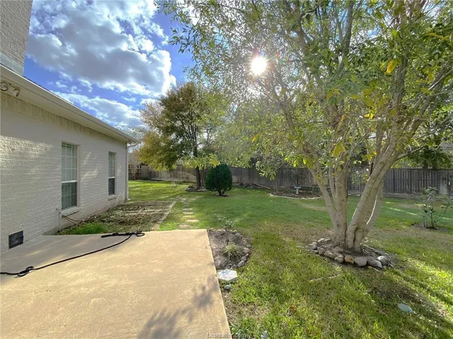 a view of a yard with plants and a large tree