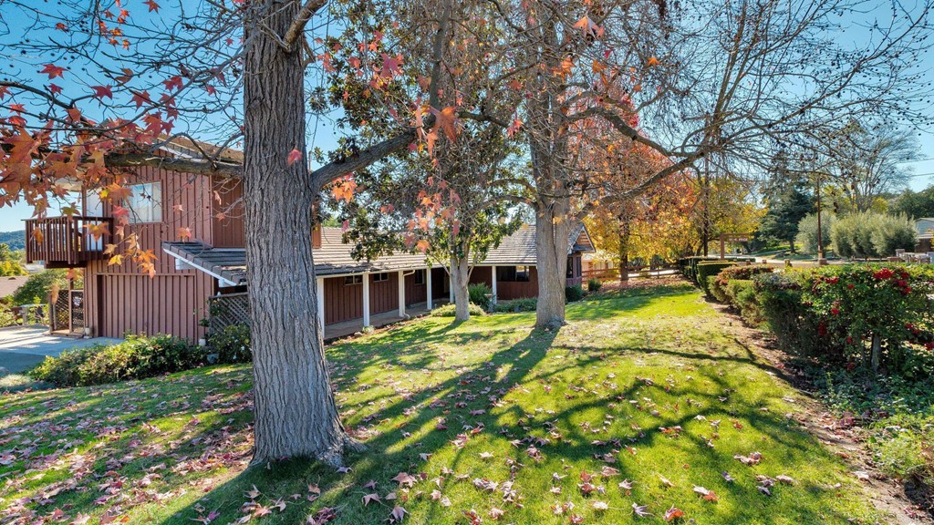 a view of backyard of house with green space