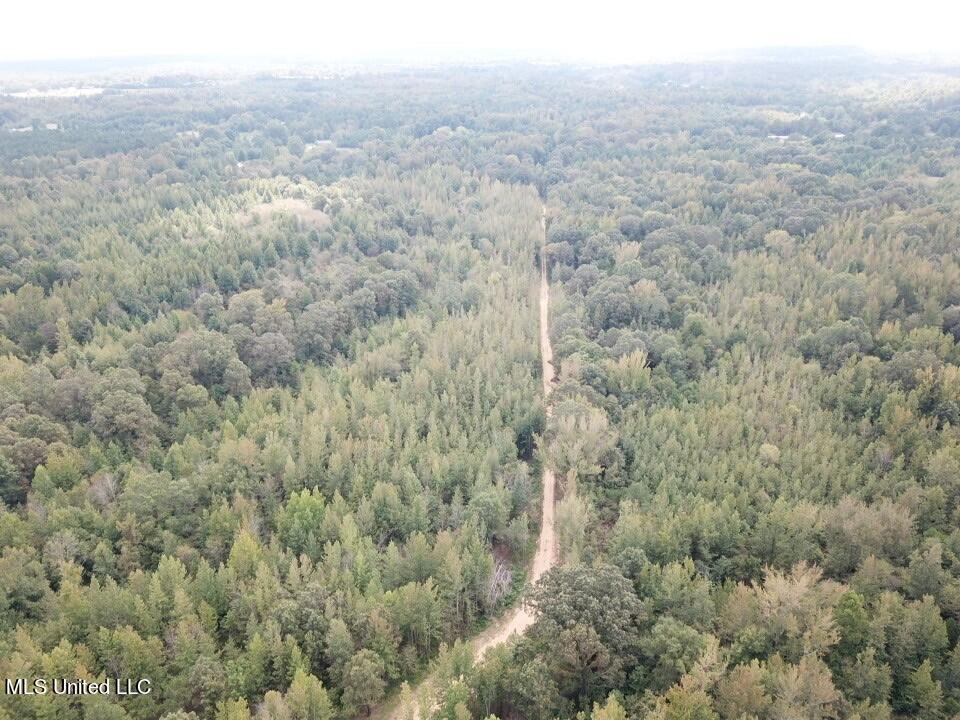 Moore Road Red Banks, MS 38661 - Photo 3 of 26 Drone 2