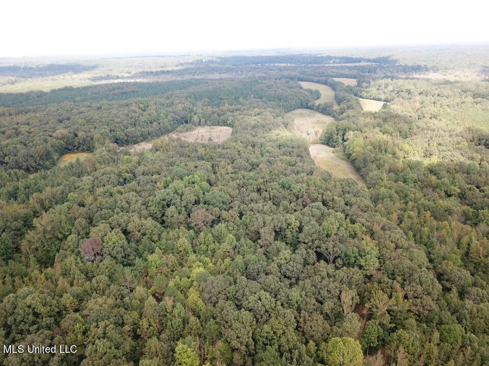 Moore Road Red Banks, MS 38661 - Photo 4 of 26 Drone 3