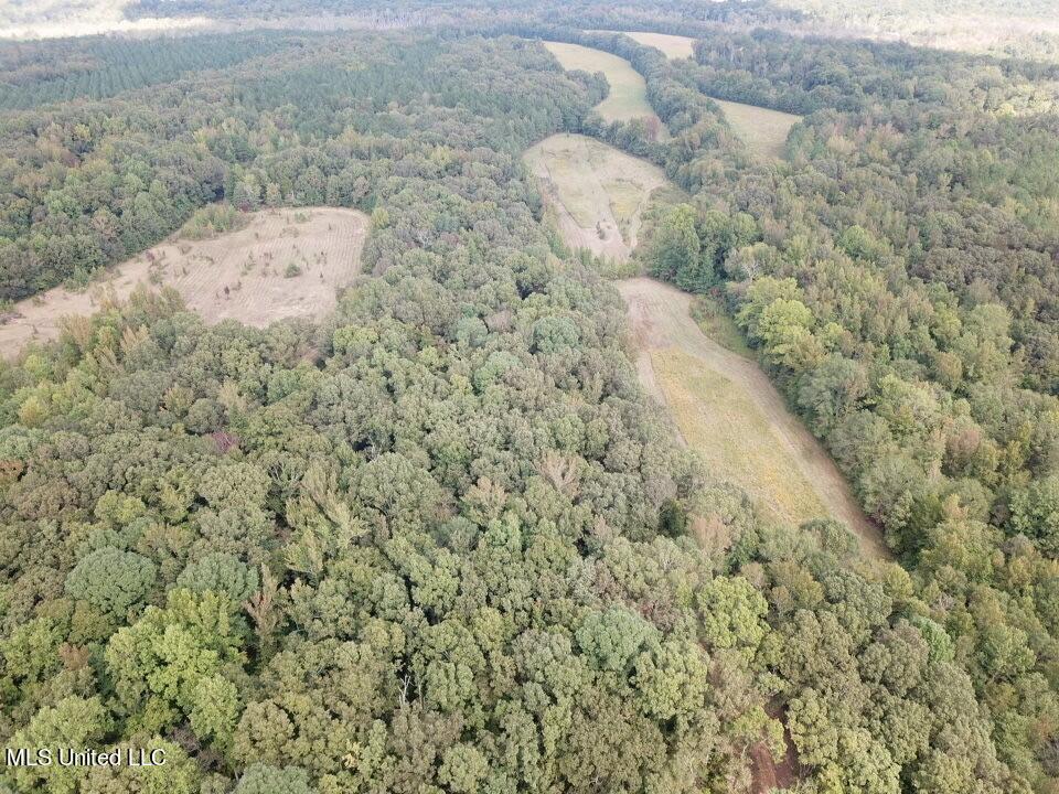 Moore Road Red Banks, MS 38661 - Photo 6 of 26 drone 8