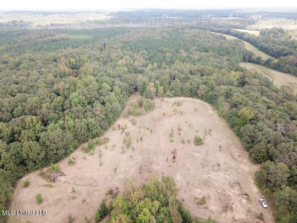 Moore Road Red Banks, MS 38661 - Photo 8 of 26 drone 4
