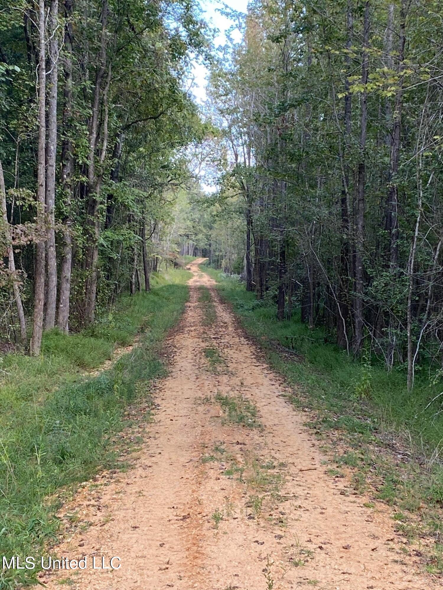 Moore Road Red Banks, MS 38661 - Photo 10 of 26 Easement Road