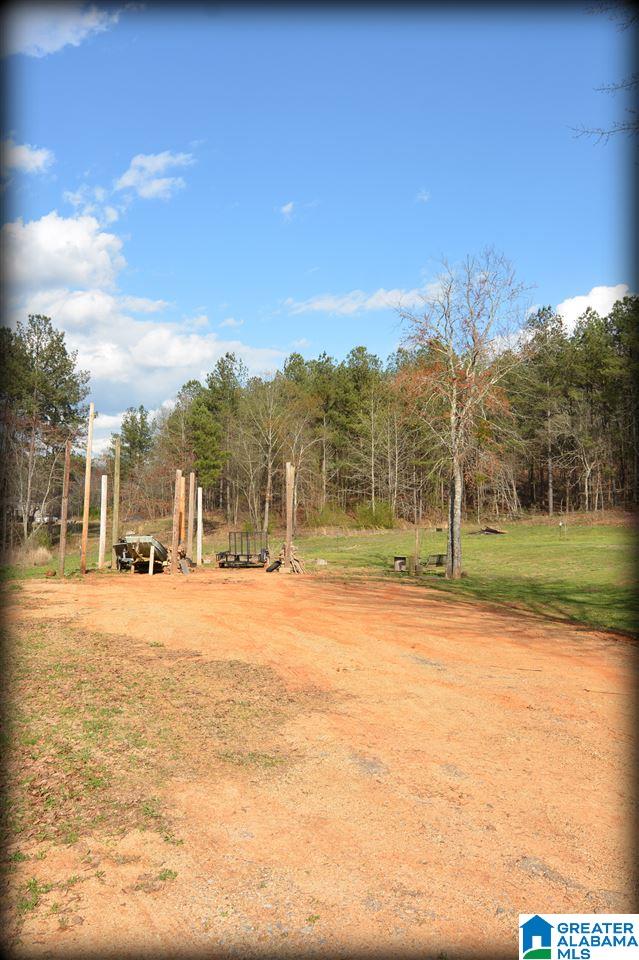 407 Deerfield Road Pell City, AL 35125 - Photo 47 of 49 Gallery Image 47