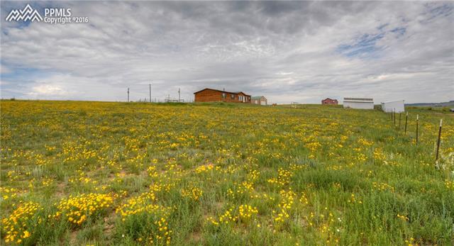 15010 Trigger Road Peyton, CO 80831 - Photo 7 of 25 Gallery Image 7