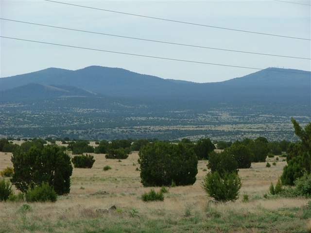 Lot 74 Pine Ridge Ranch Concho, AZ 85924 - Photo 2 of 9 Gallery Image 2