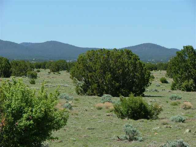 Lot 74 Pine Ridge Ranch Concho, AZ 85924 - Photo 9 of 9 Gallery Image 9