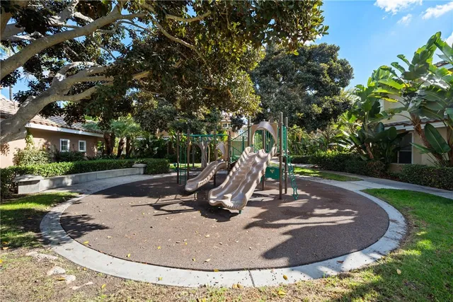 a view of a park with plants and trees
