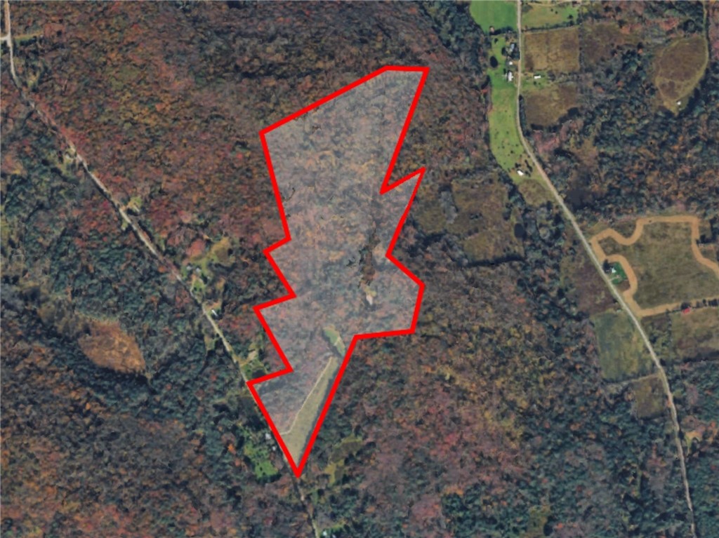 334 Lulu Coon Road Butternuts, NY 13849 - Photo 3 of 41 Gallery Image 3