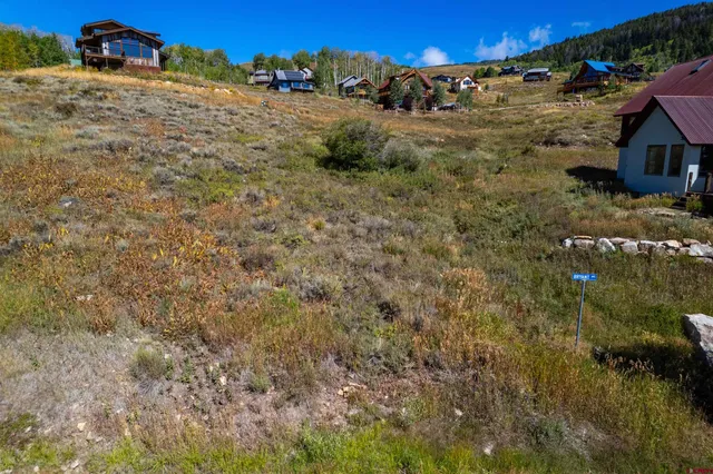 a view of a dry yard with trees