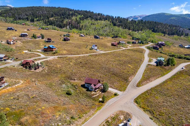a view of a dry yard with trees