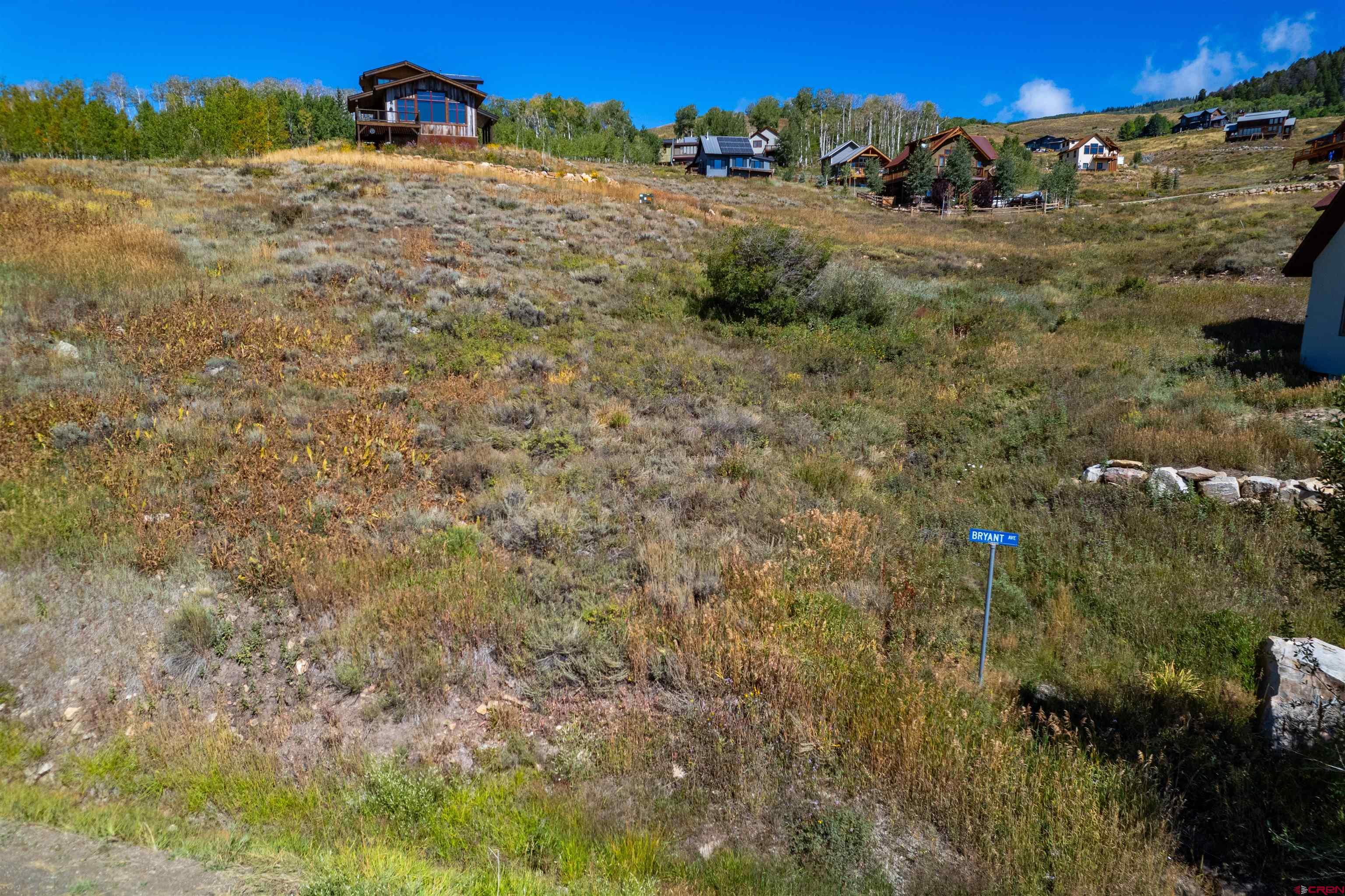 3726 Bryant Avenue Crested Butte, CO 81224 - Photo 19 of 30 a view of a dry yard with trees