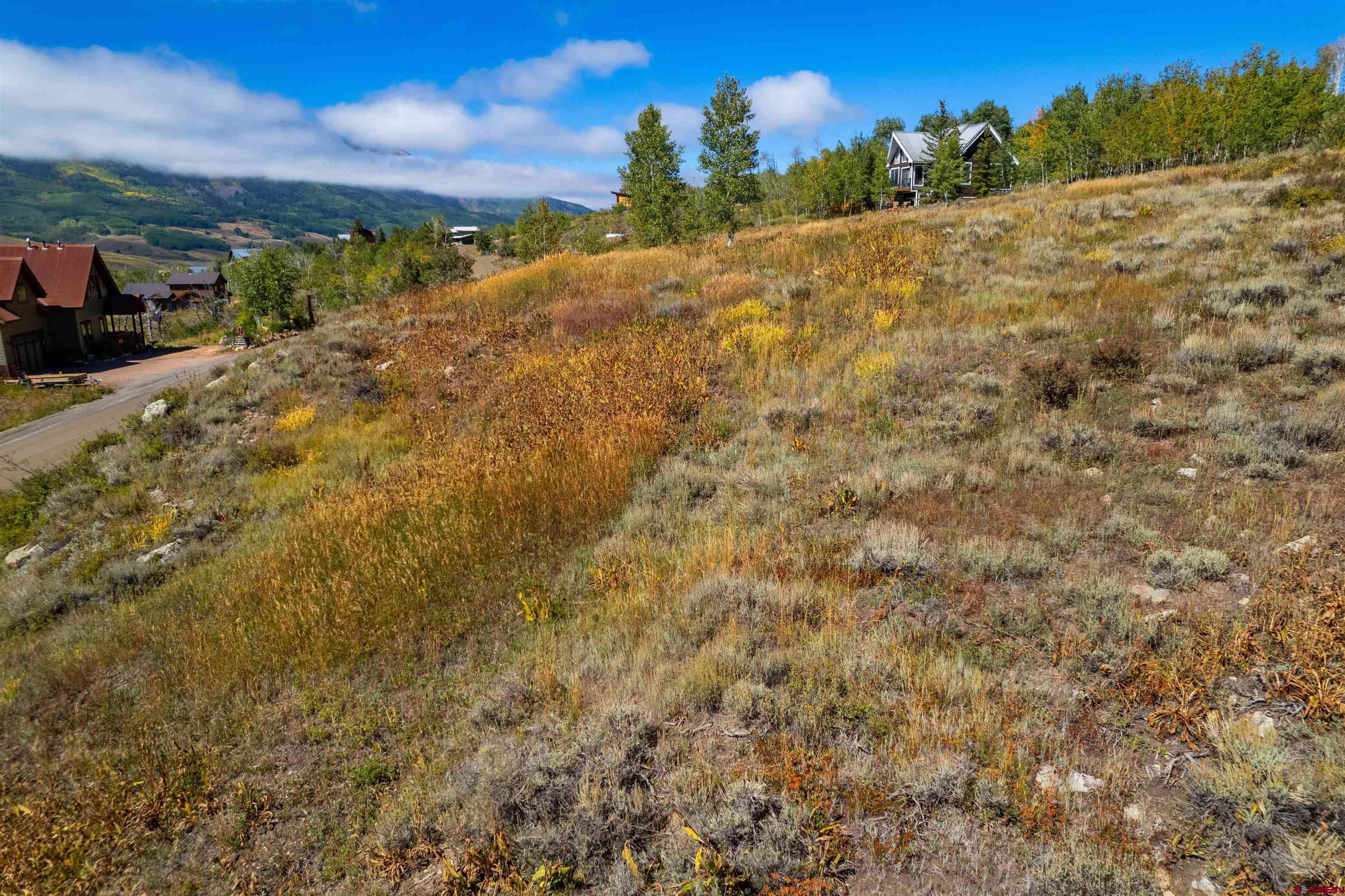 3726 Bryant Avenue Crested Butte, CO 81224 - Photo 19 of 43