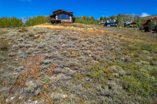 a view of a back yard of the house