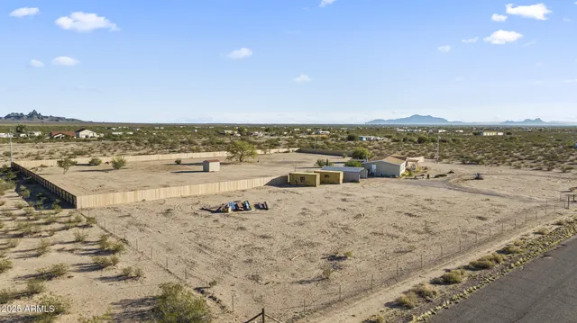 a big room with a bed and large trees