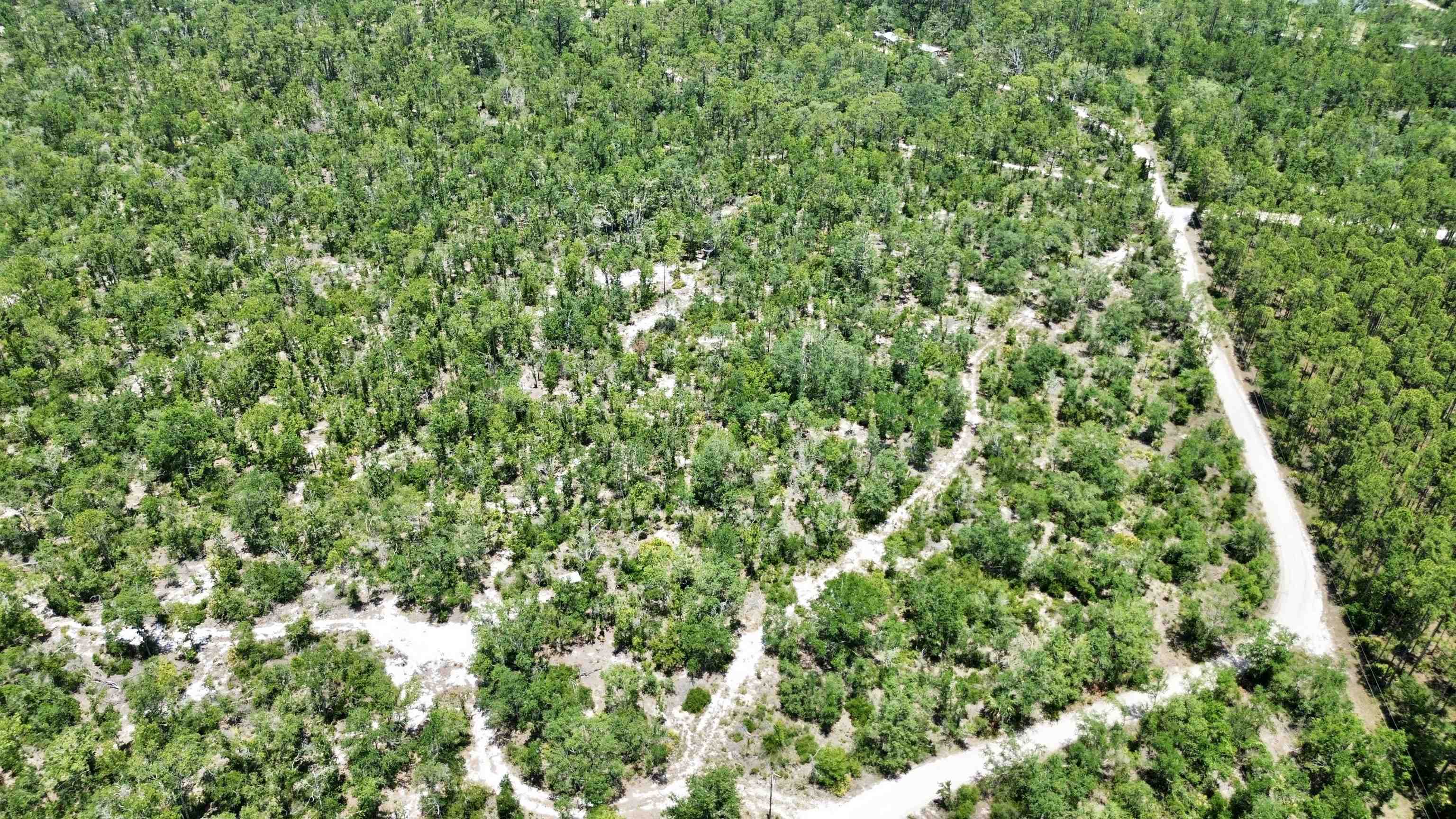 0 Clearwater Creek Lane Perry, FL 32348 - Photo 15 of 33