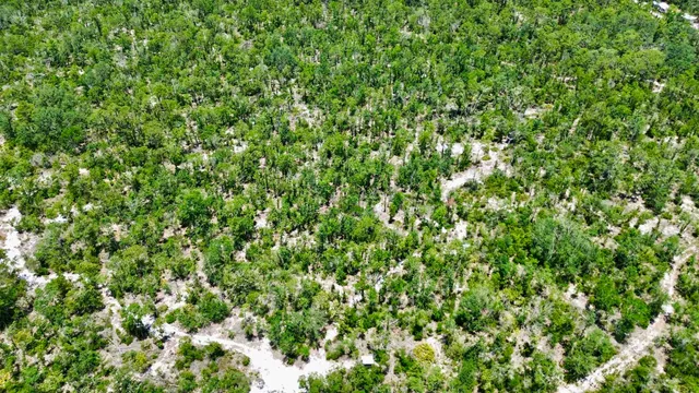 $164,000 | 0 Clearwater Creek Lane, Perry, FL 32348