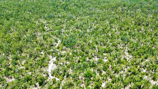 $164,000 | 0 Clearwater Creek Lane, Perry, FL 32348