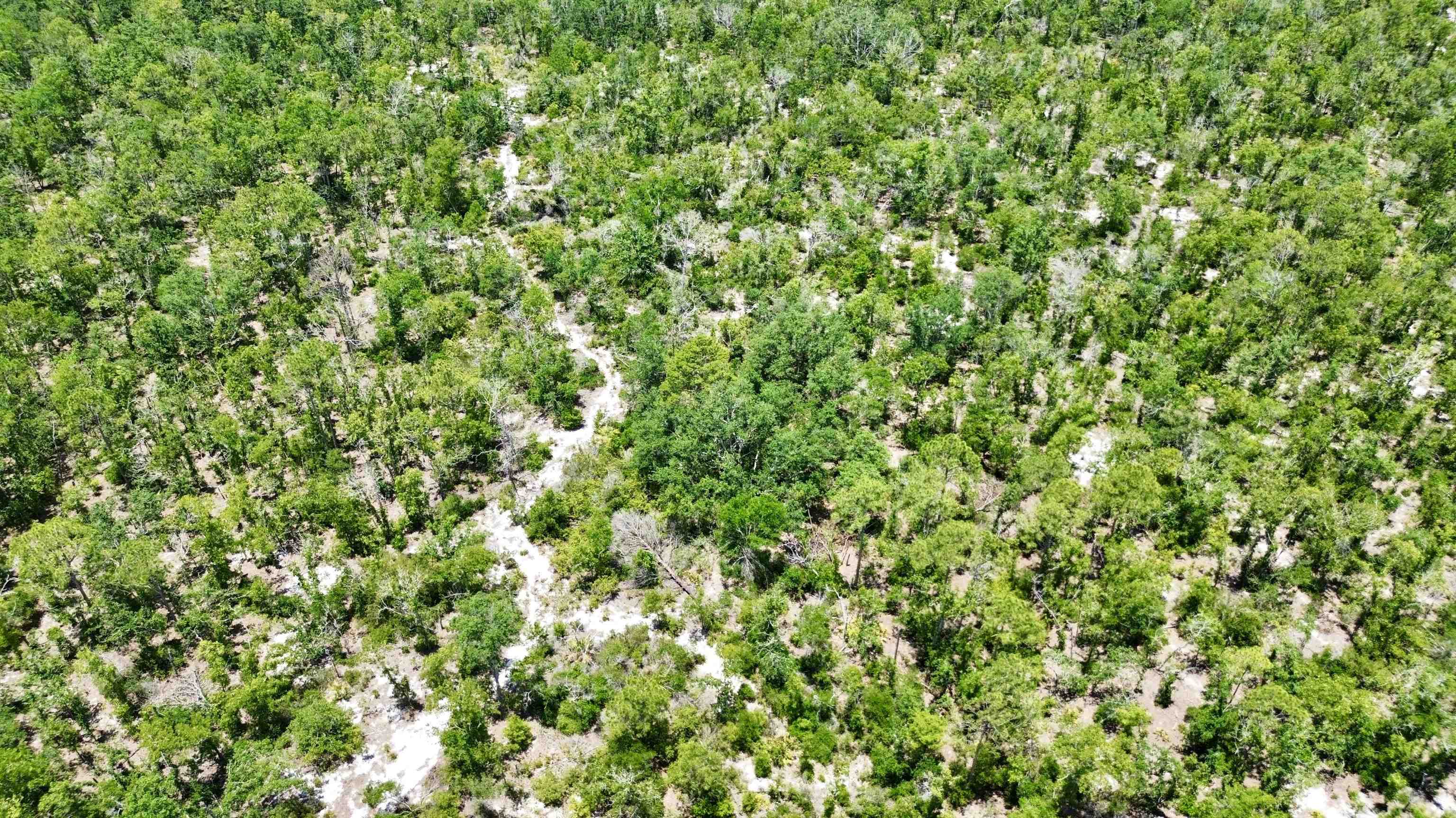 0 Clearwater Creek Lane Perry, FL 32348 - Photo 18 of 33