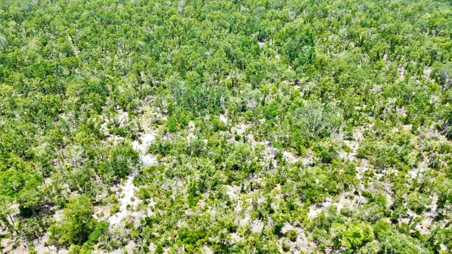 $164,000 | 0 Clearwater Creek Lane, Perry, FL 32348