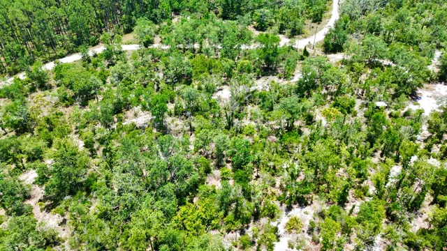 $164,000 | 0 Clearwater Creek Lane, Perry, FL 32348