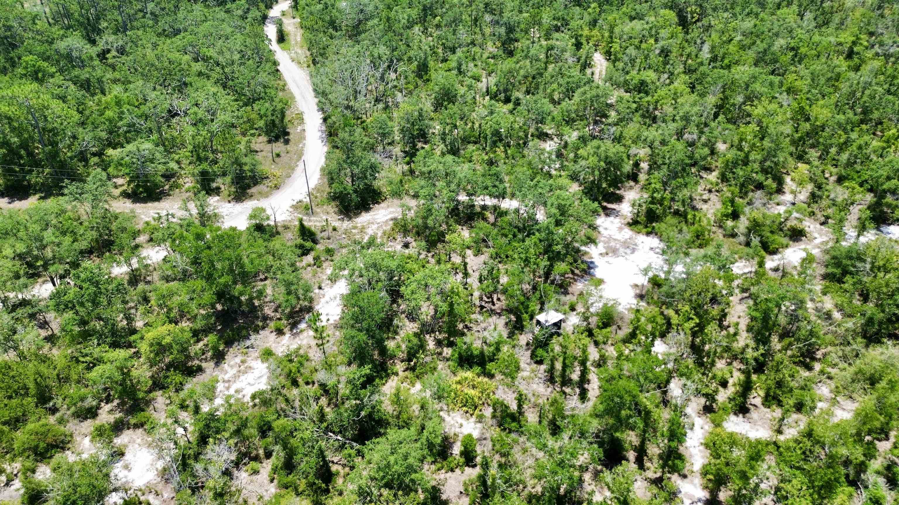 0 Clearwater Creek Lane Perry, FL 32348 - Photo 24 of 33