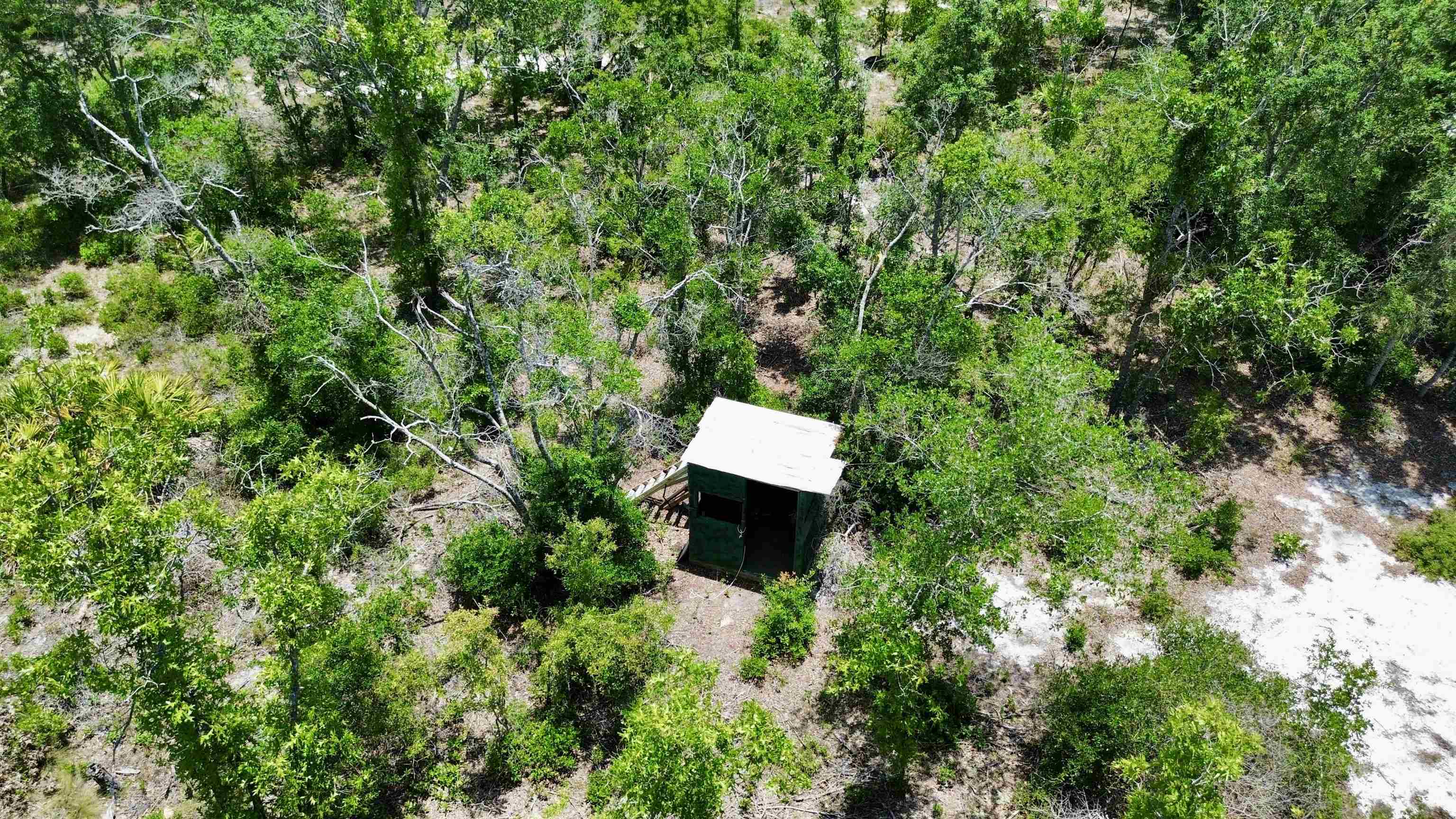 0 Clearwater Creek Lane Perry, FL 32348 - Photo 3 of 33