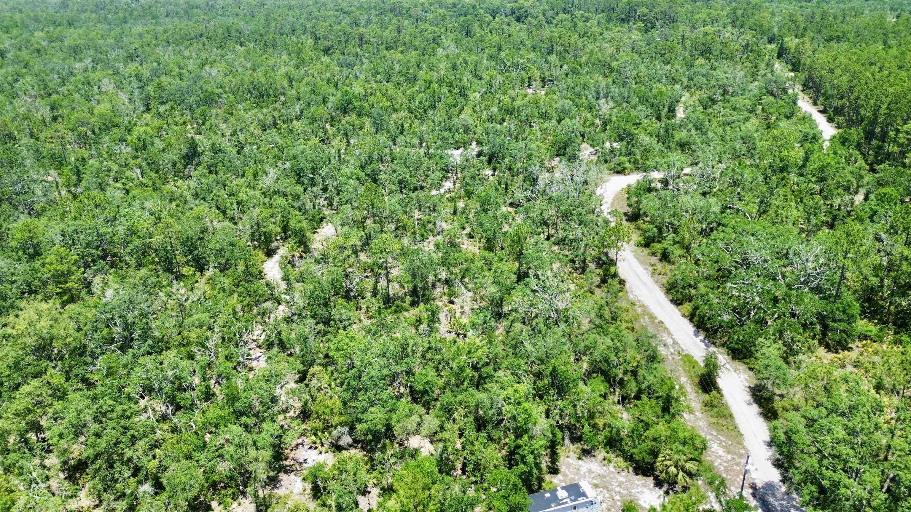 0 Clearwater Creek Lane Perry, FL 32348 - Photo 10 of 33