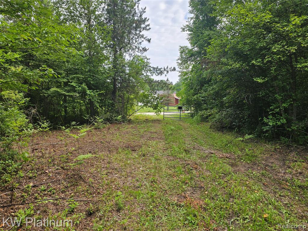 0 Ravenswood Road Smiths Creek, MI 48074 - Photo 6 of 9