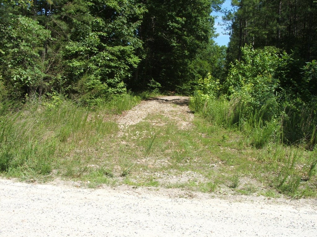 628 Mountain Creek Road Victoria, VA 23974 - Photo 2 of 10 Gallery Image 2