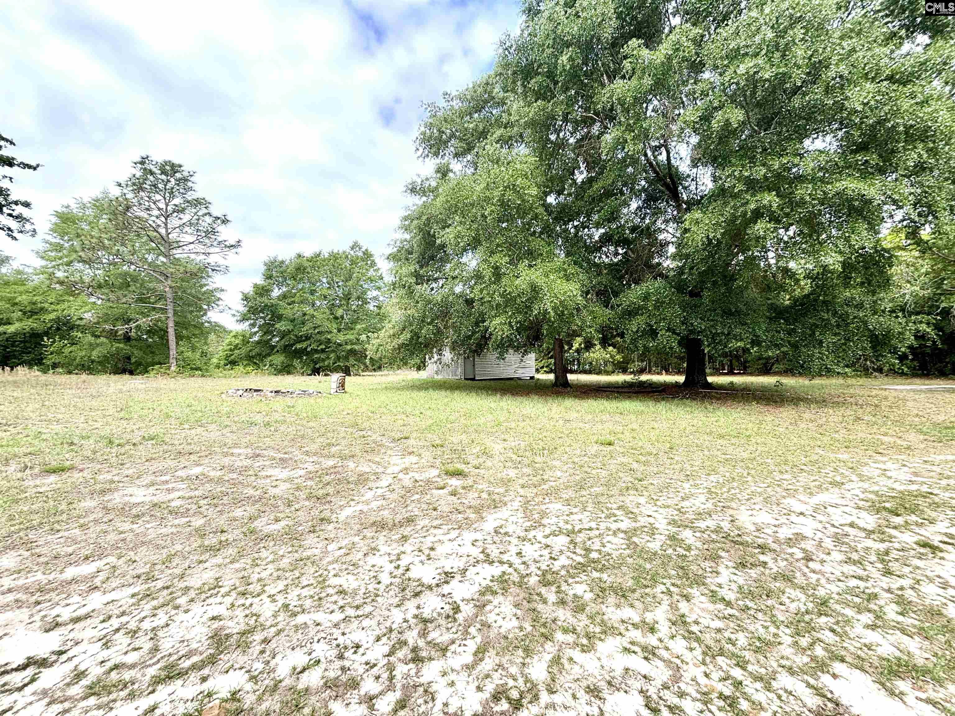 310 Otis Road Pelion, SC 29123 - Photo 2 of 18