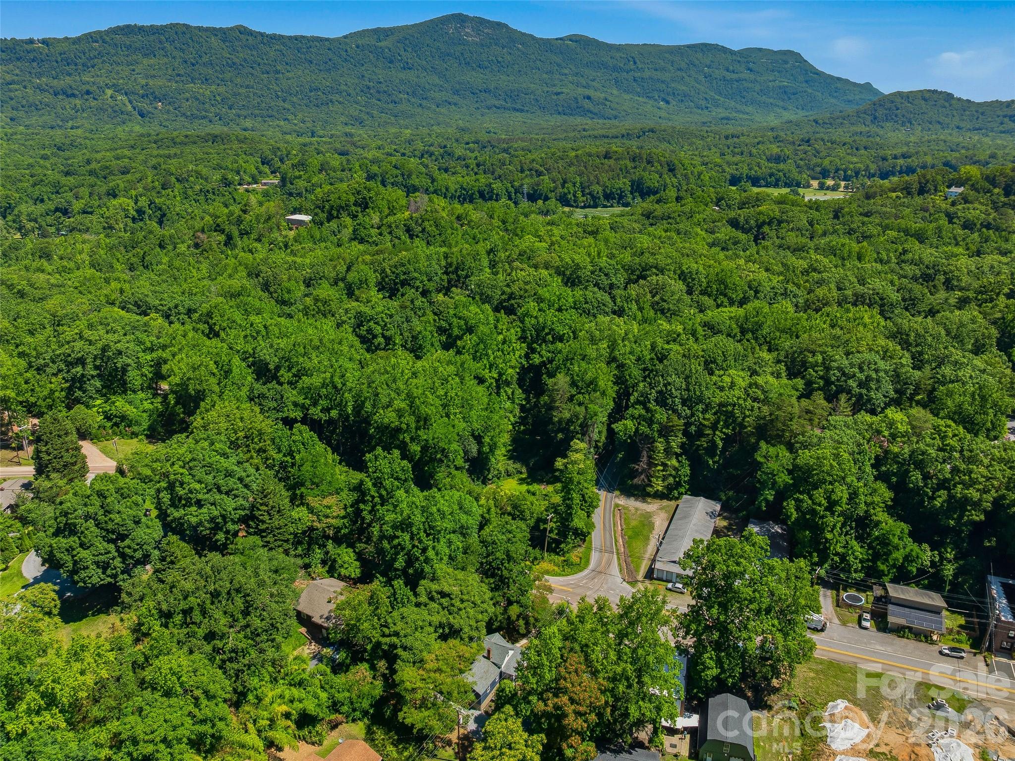 895 North Trade Street Tryon, NC 28782 - Photo 44 of 45