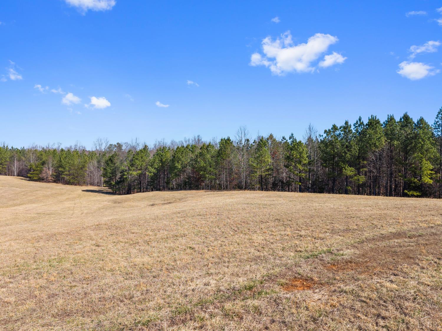 1433 Piney Mountain Road Appomattox, VA 24522 - Photo 58 of 80