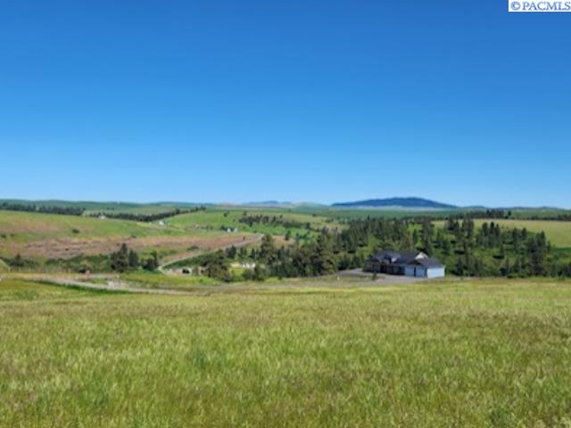Lot 9 Red Tail Ridge Road Colfax, WA 99111 - Photo 2 of 6 Gallery Image 2