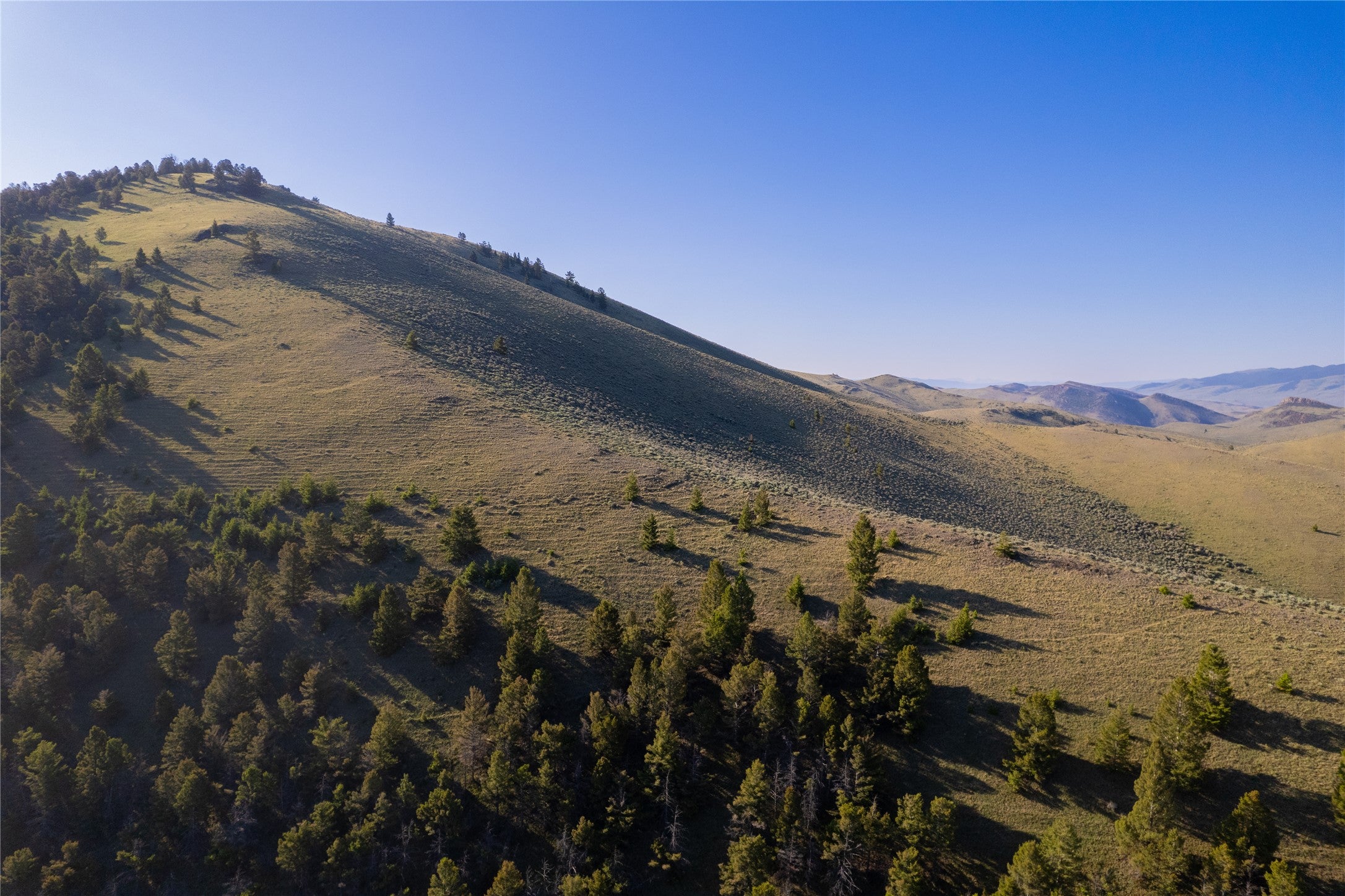 Tbd Soap Gulch Road Melrose, MT 59743 - Photo 20 of 30 Gallery Image 20