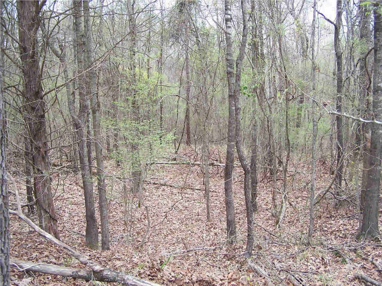 1 Damascus Church Road Durant, MS 39063 - Photo 11 of 24 Photo 11