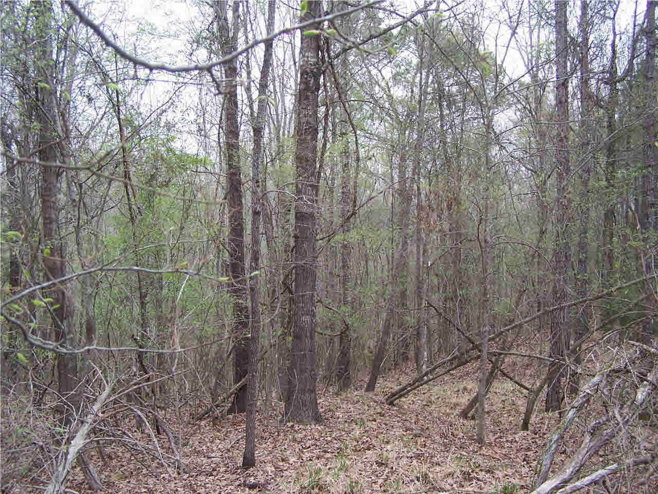 1 Damascus Church Road Durant, MS 39063 - Photo 12 of 24 Photo 12