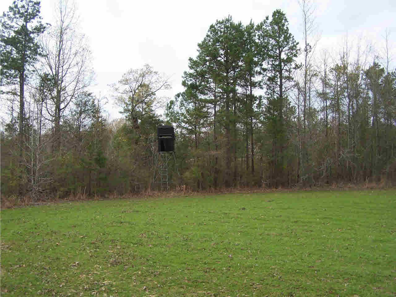 1 Damascus Church Road Durant, MS 39063 - Photo 13 of 24 Photo 13