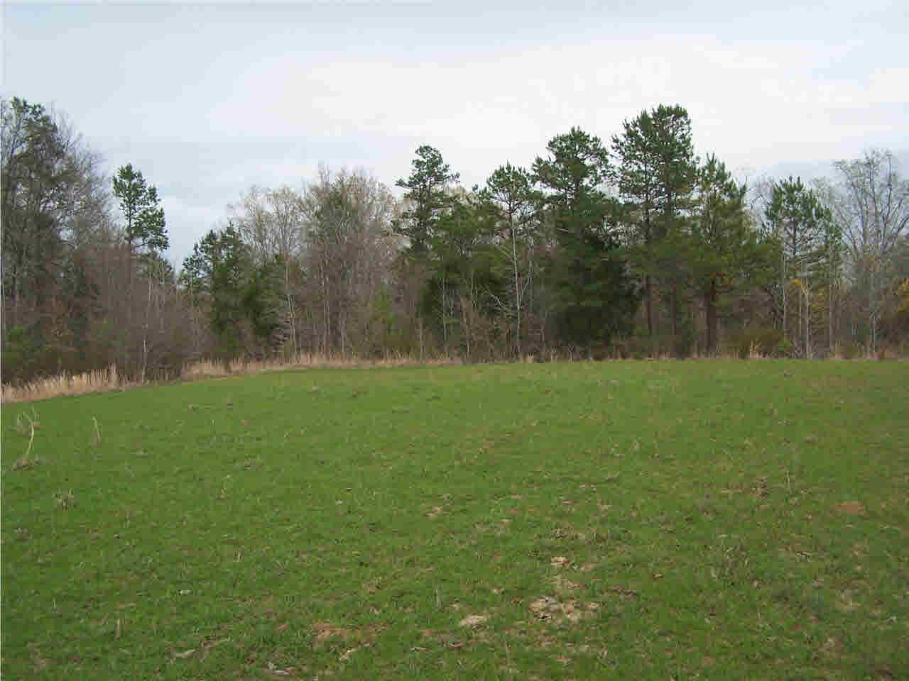 1 Damascus Church Road Durant, MS 39063 - Photo 14 of 24 Photo 14