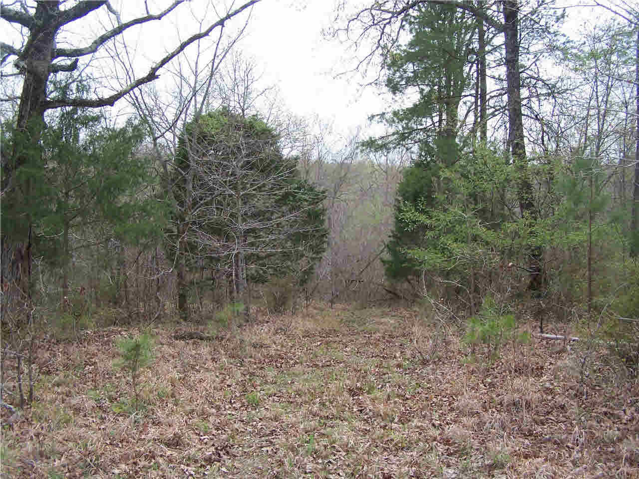 1 Damascus Church Road Durant, MS 39063 - Photo 15 of 24 Photo 15