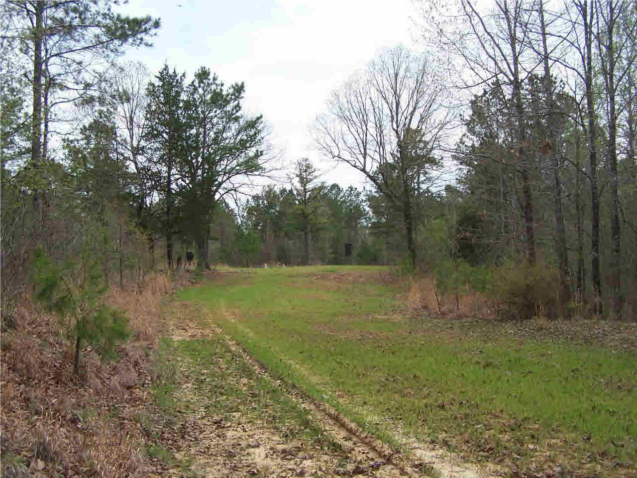 1 Damascus Church Road Durant, MS 39063 - Photo 16 of 24 Photo 16