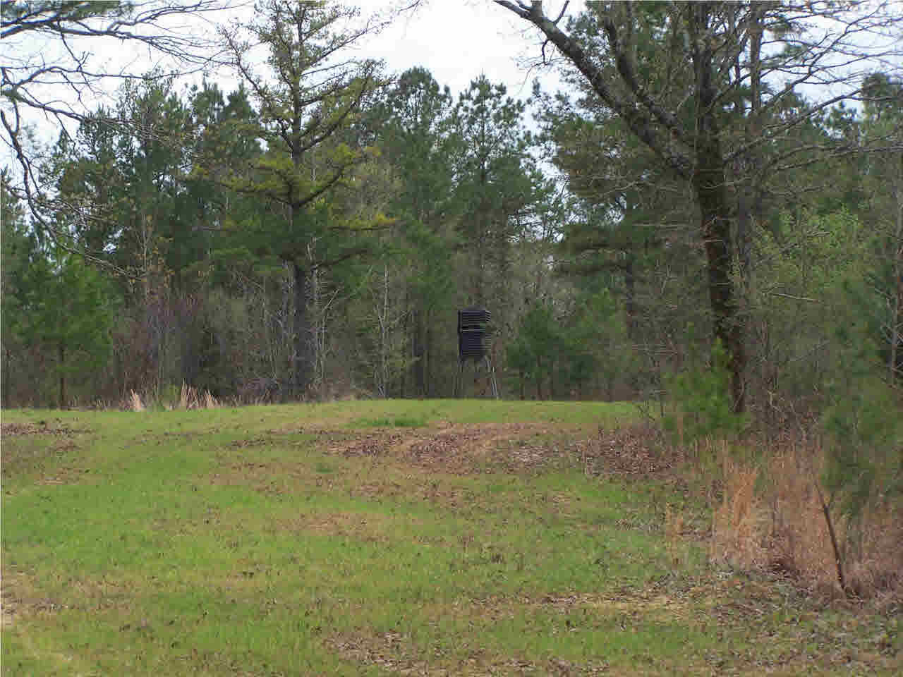 1 Damascus Church Road Durant, MS 39063 - Photo 17 of 24 Photo 17