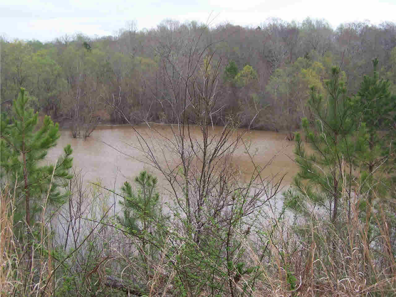 1 Damascus Church Road Durant, MS 39063 - Photo 18 of 24 Photo 18