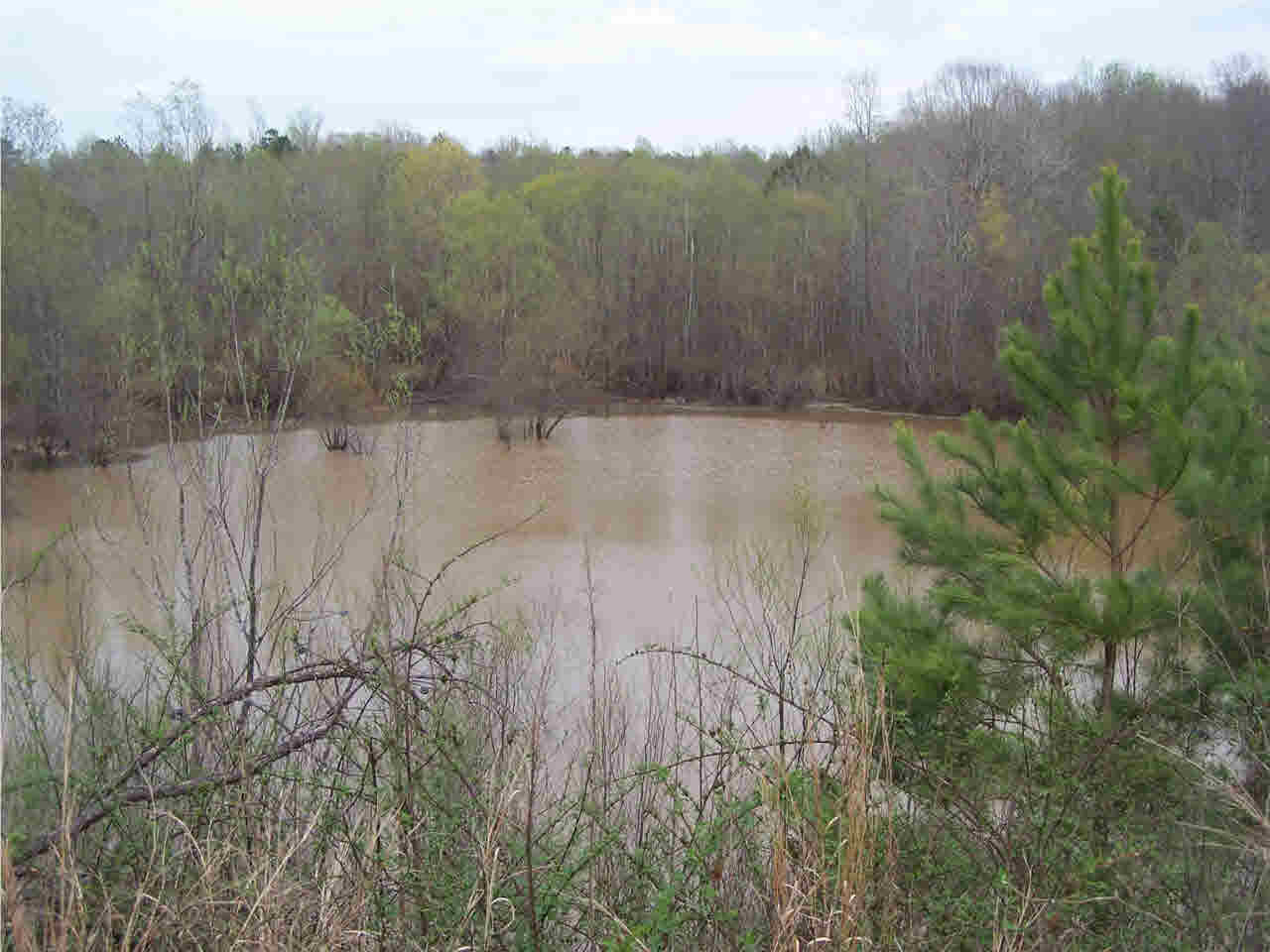 1 Damascus Church Road Durant, MS 39063 - Photo 19 of 24 Photo 19