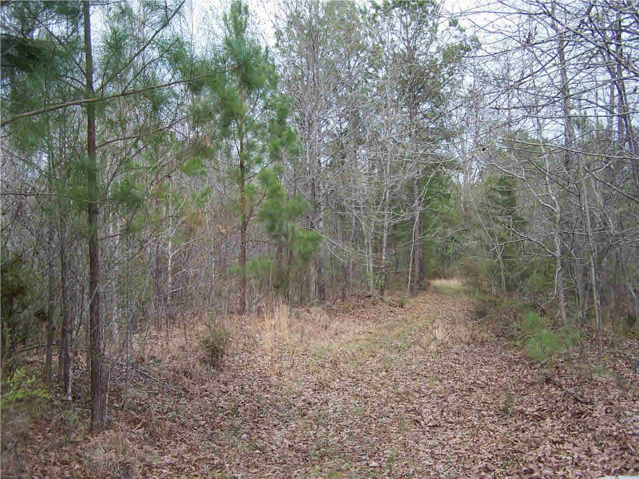 1 Damascus Church Road Durant, MS 39063 - Photo 20 of 24 Photo 20