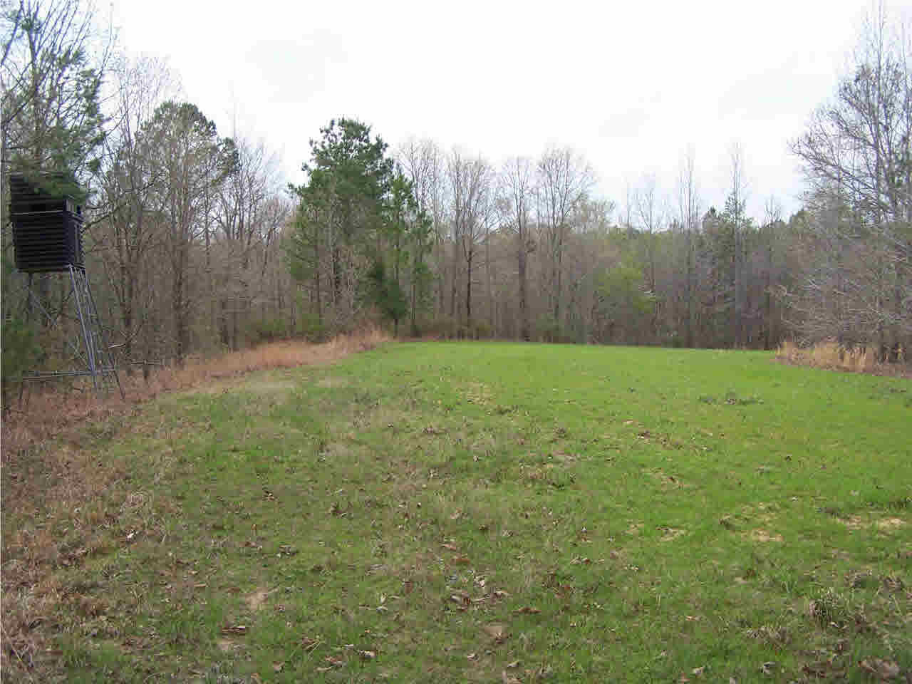 1 Damascus Church Road Durant, MS 39063 - Photo 21 of 24 Photo 21
