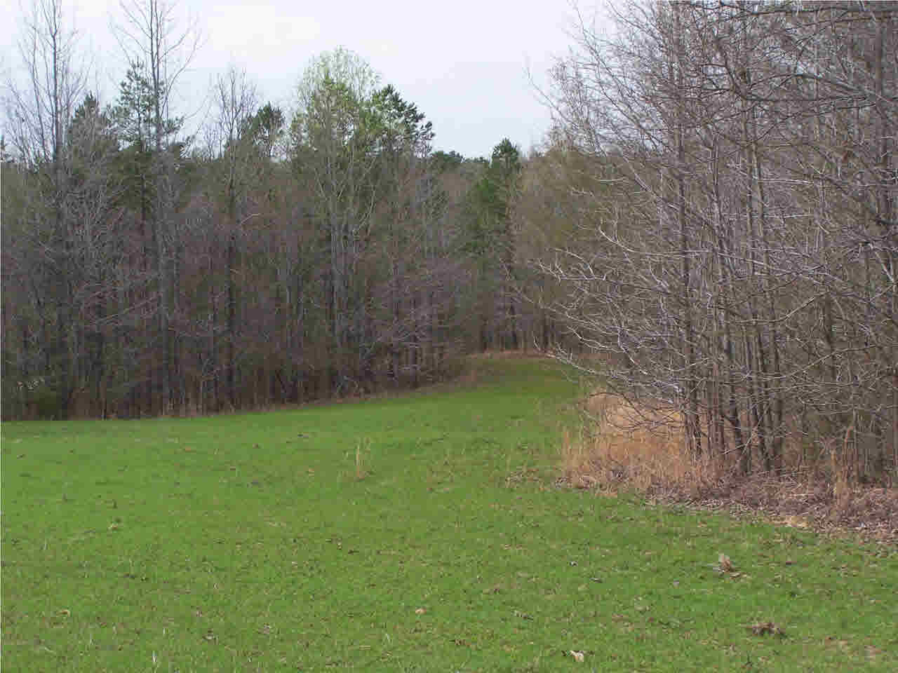 1 Damascus Church Road Durant, MS 39063 - Photo 22 of 24 Photo 22
