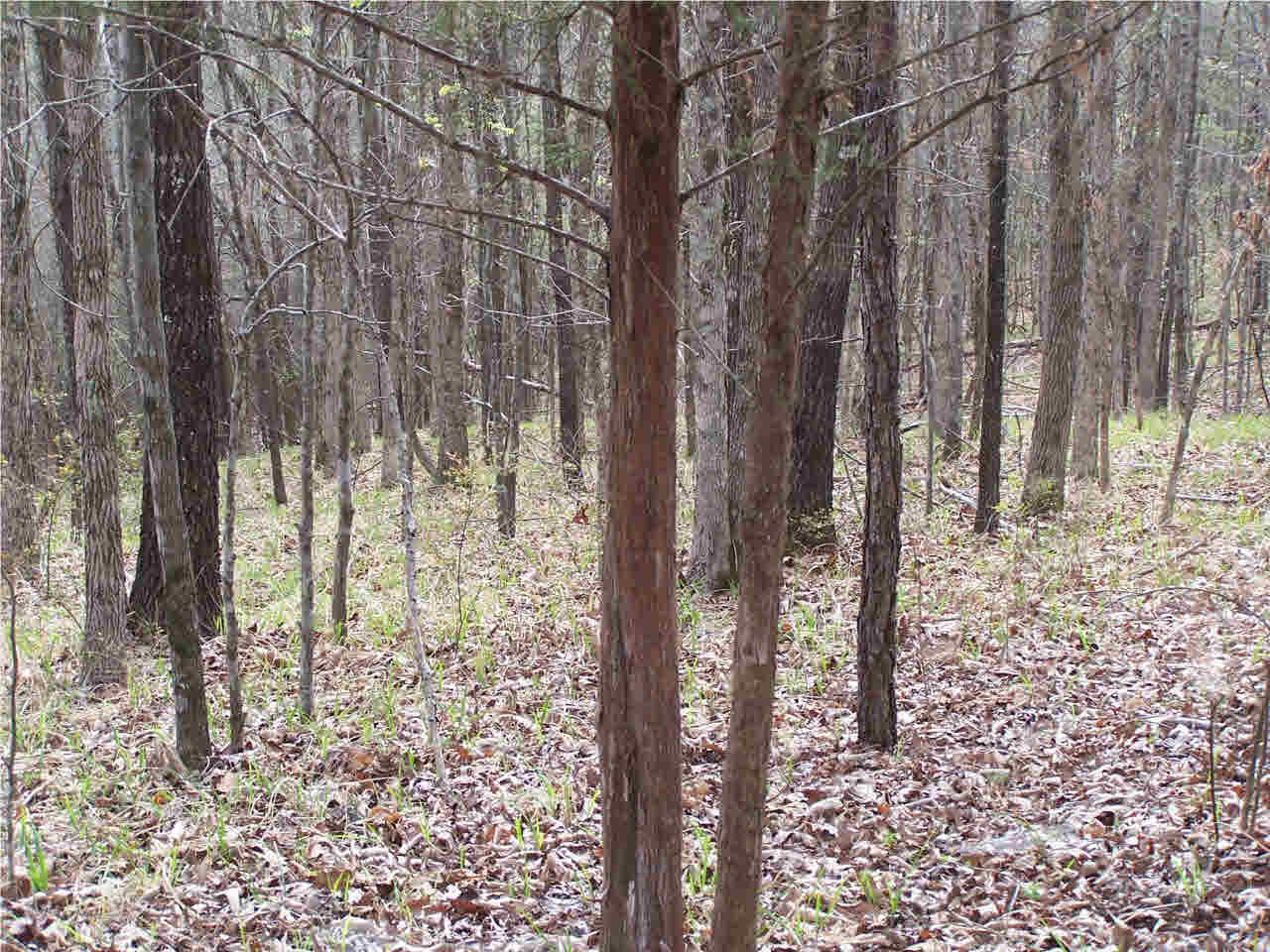 1 Damascus Church Road Durant, MS 39063 - Photo 23 of 24 Photo 23